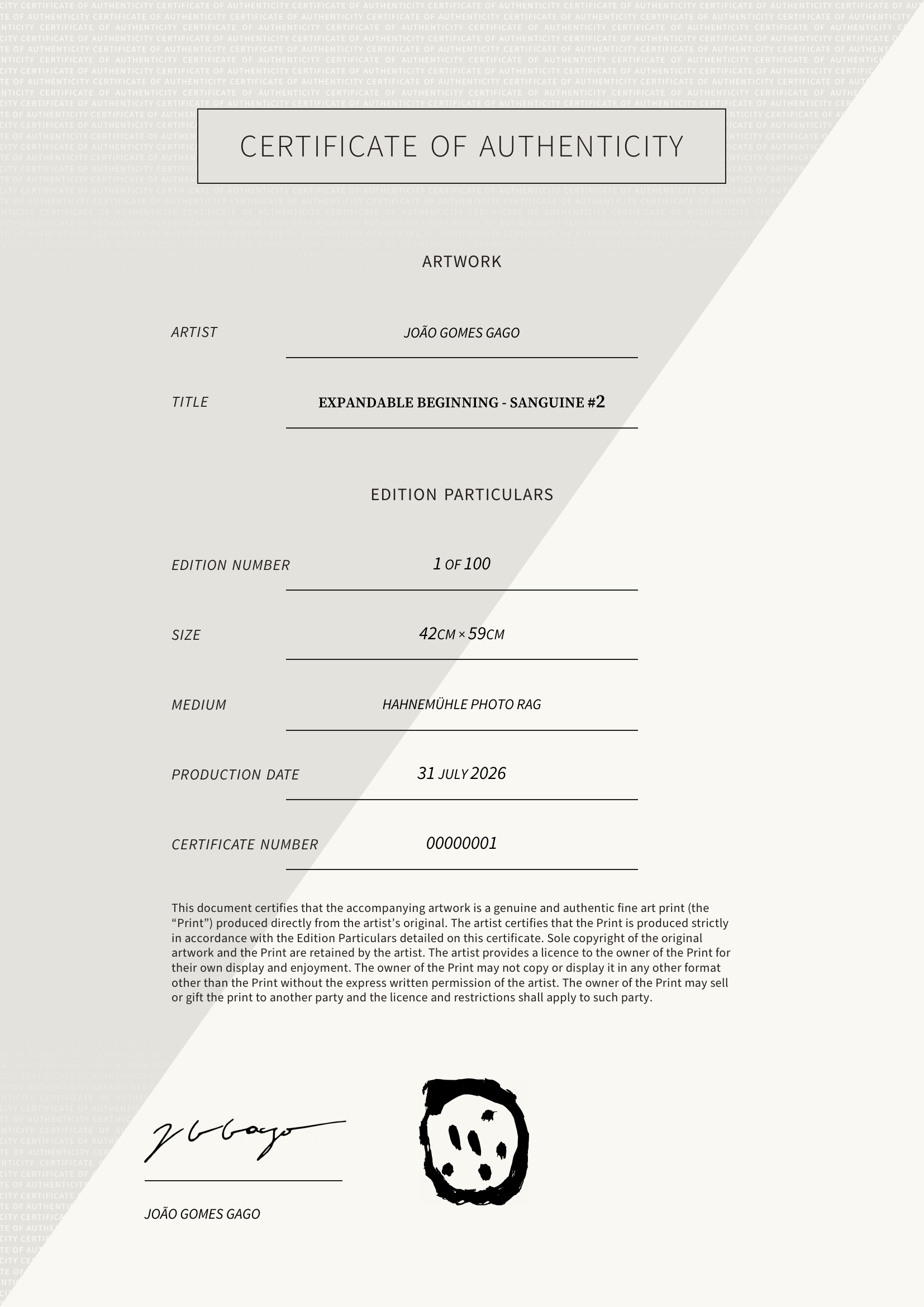 Expandable Beginning - sanguine #2 — Certificate of Authenticity
